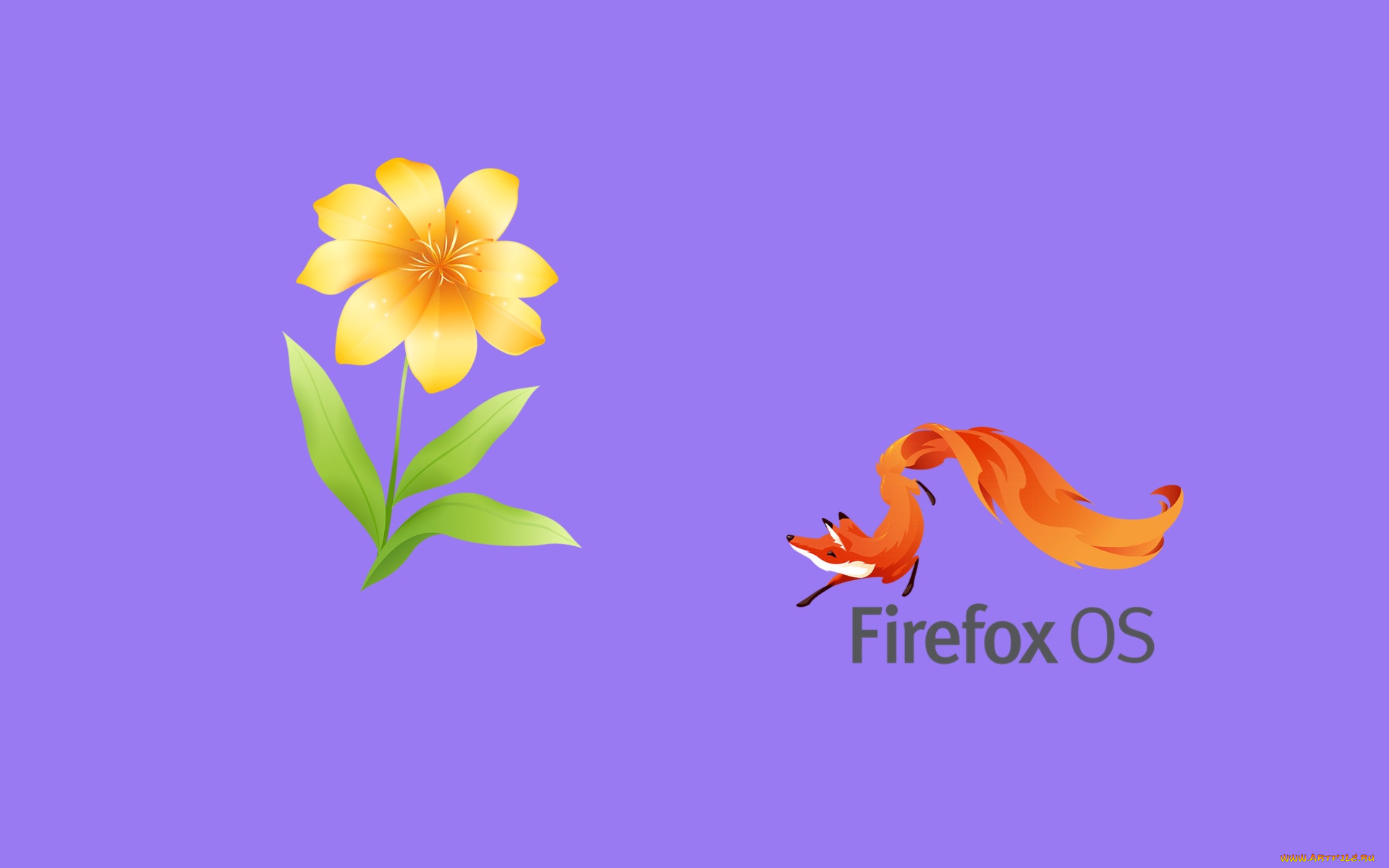 , mozilla firefox, , 